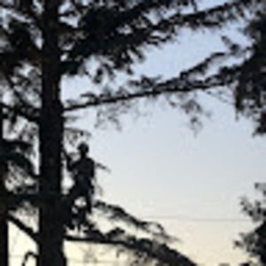 Meet your Posher, Jeff